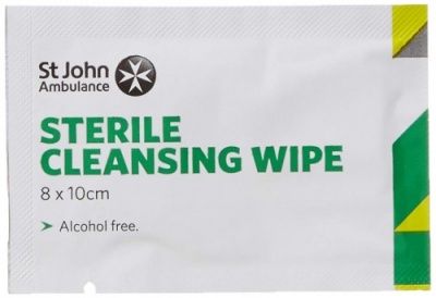 Antiseptic Wipes - 4 pack